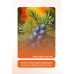 PURE SAACH PROFESSİONAL JUNIPER SHAMPOO Ardıç Katranı Şampuanı