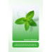 PURE SAACH PROFESSIONAL SERENİDAT NATURAL SKIN TONİK 